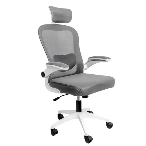 Silla Ejecutiva Ergonomica con Ruedas 360º, Ajustable y Reclinable - Gris